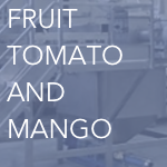 fruit tomato and mango